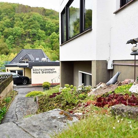 فندق Gaestehaus Steinborn هيمباخ المظهر الخارجي الصورة