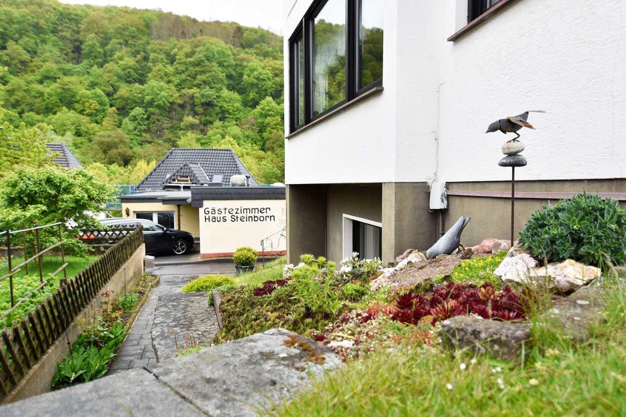 فندق Gaestehaus Steinborn هيمباخ المظهر الخارجي الصورة